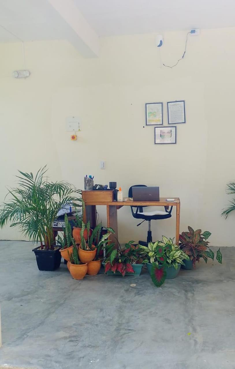 فندق Nyia Boutique El Curval المظهر الخارجي الصورة